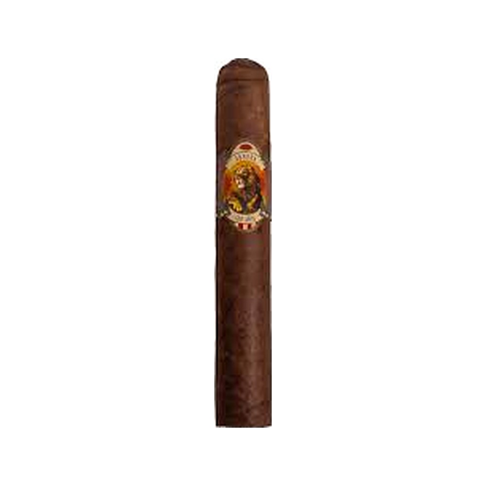 Aurora 100 Años Robusto