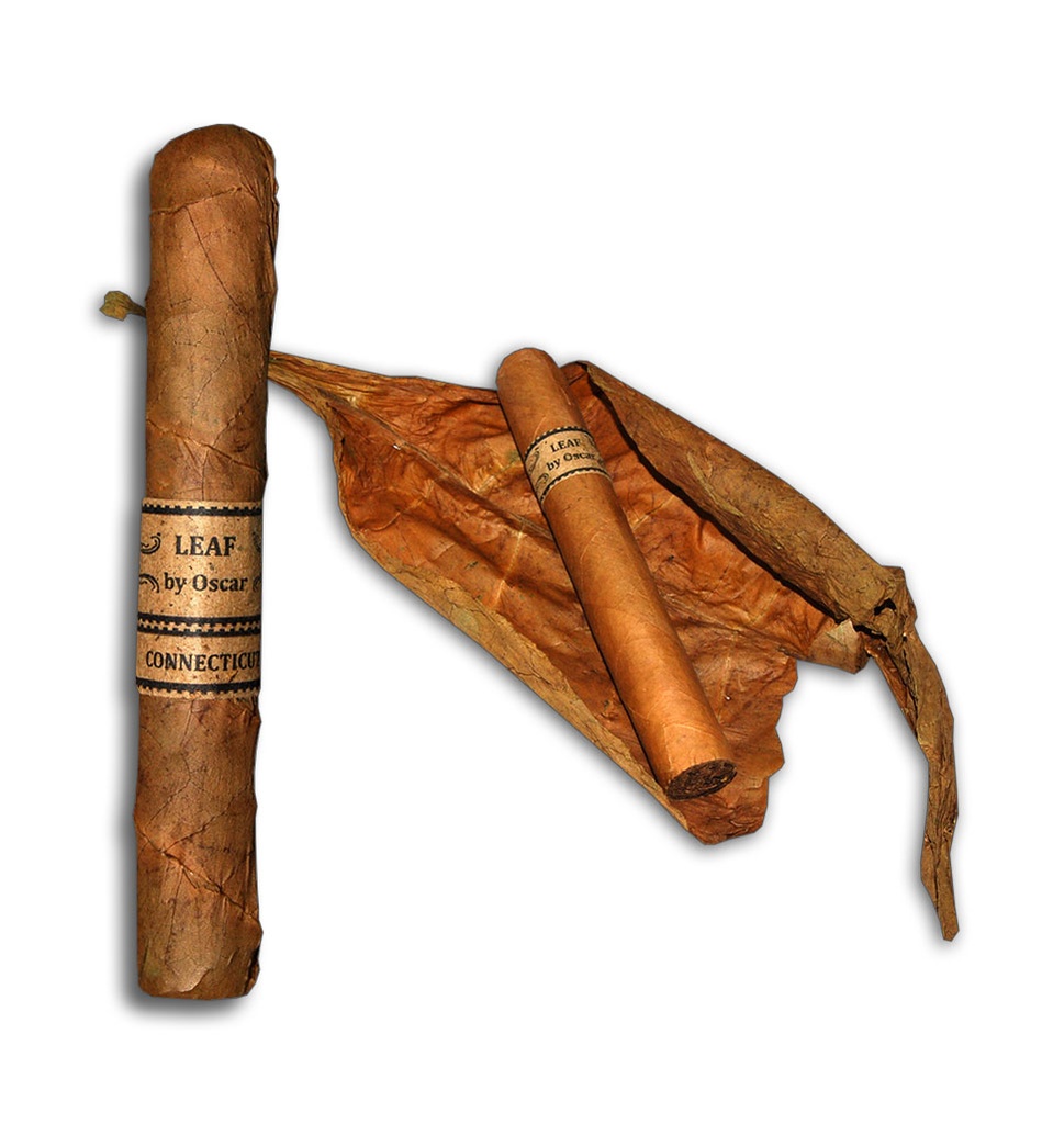 Leaf Connecticut By Oscar Valladares Toro