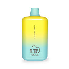 Fume Recharge Bluebery Kiwi