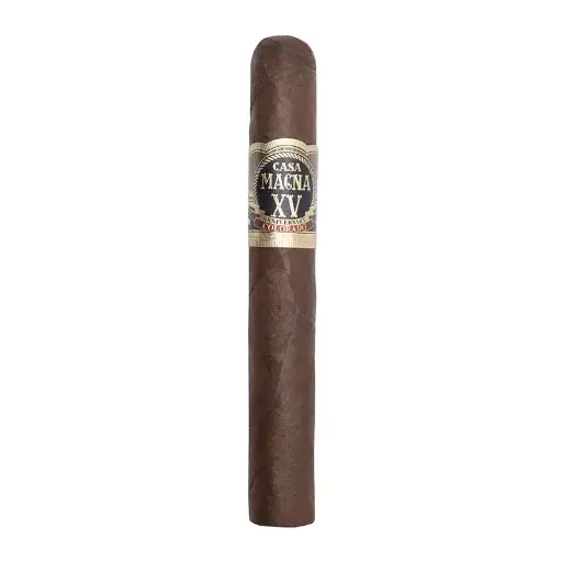 Casa Magna Xv Aniversario