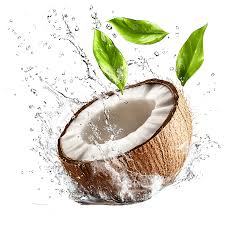 Coco NaturalUds